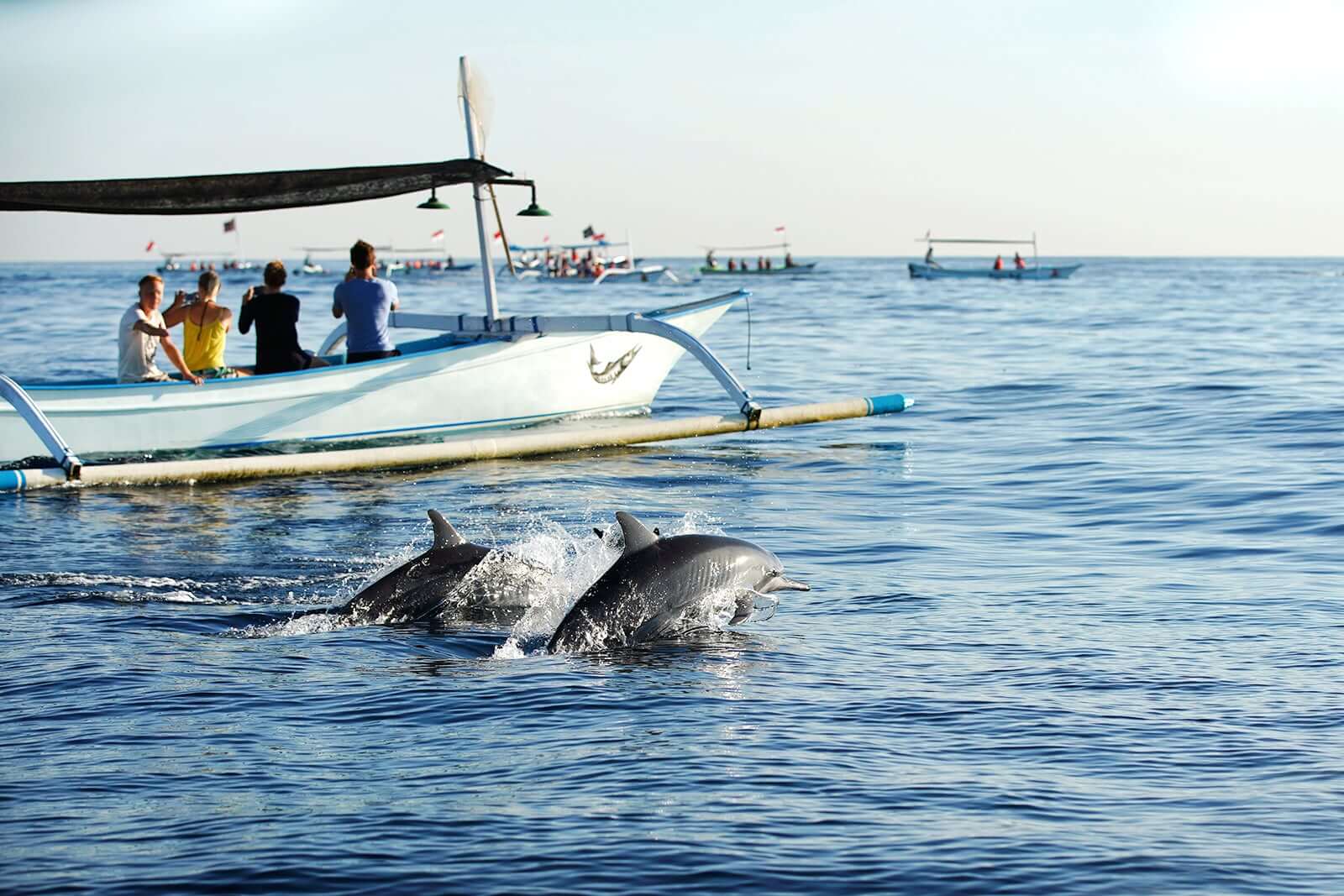 Complete Guide to Lovina Beach Activities & Water Sports
